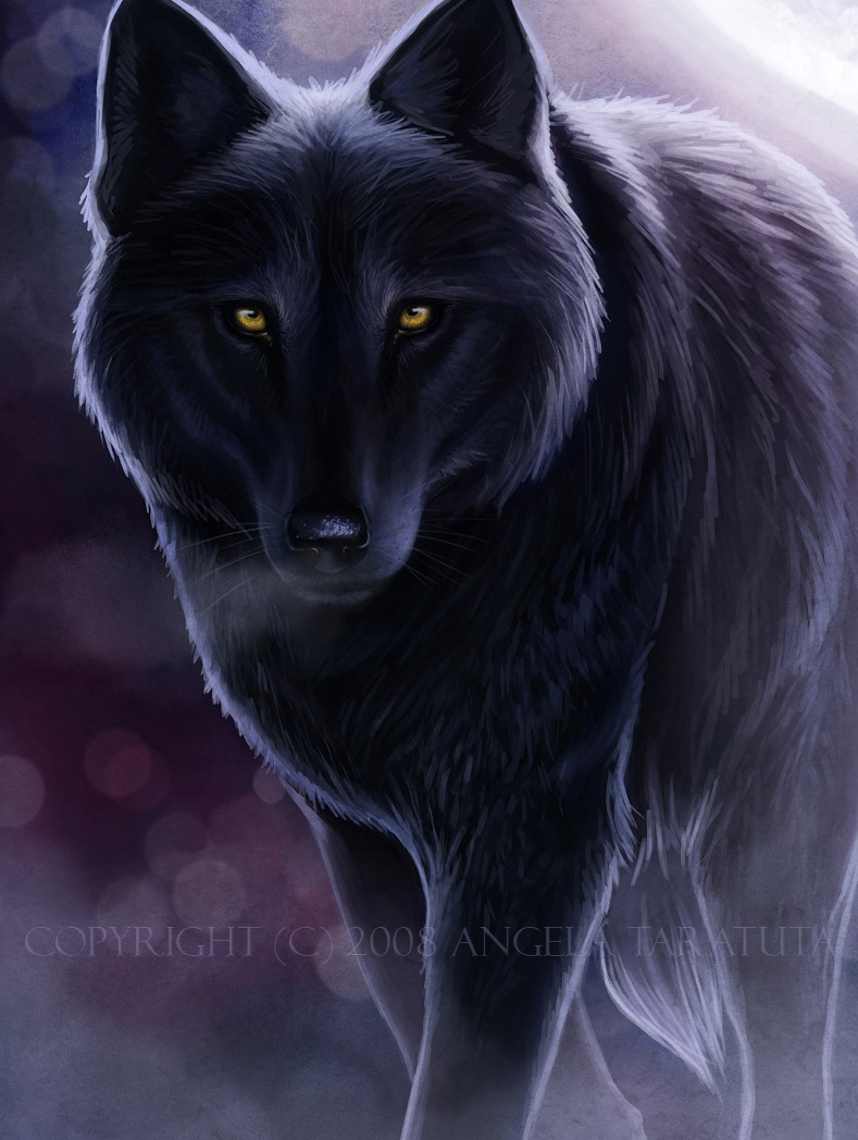 dark_wolf_commission_by_angela_t.jpg