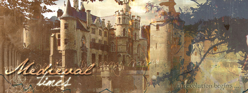 medieval_times_banner_by_litlemusa-d39qcqi.jpg