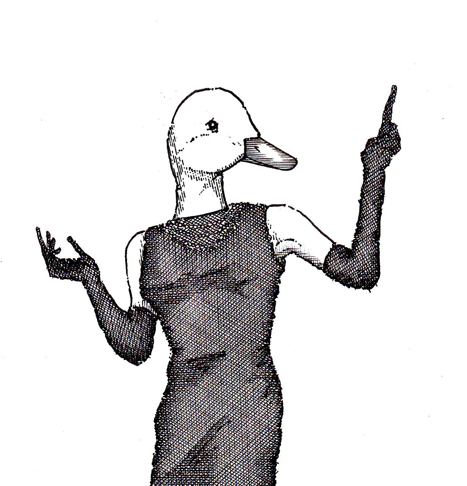 duckwoman2.jpg