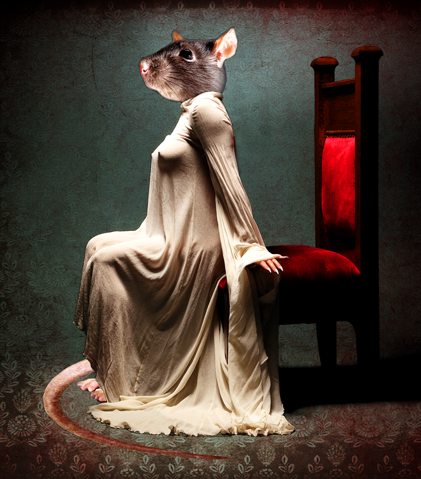 lady_of_the_court_by_obscurepairing-d8szyvd.png