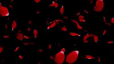 1355213946_stock-footage-rose-petals-falling-slow-motion-shallow-depth-of-field-matte-included-sec-loopable-true.jpg