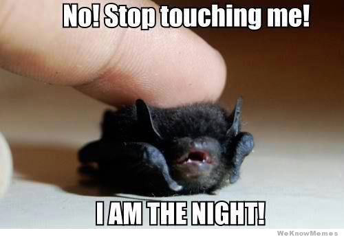 stop-touching-me-i-am-the-night.jpg
