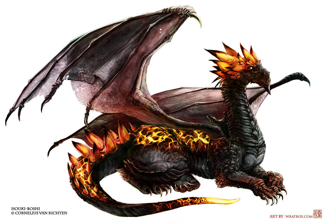 Houki_Boshi_the_dragon_by_wredwrat.jpg