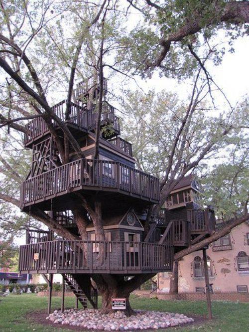 epic-tree-house.jpg