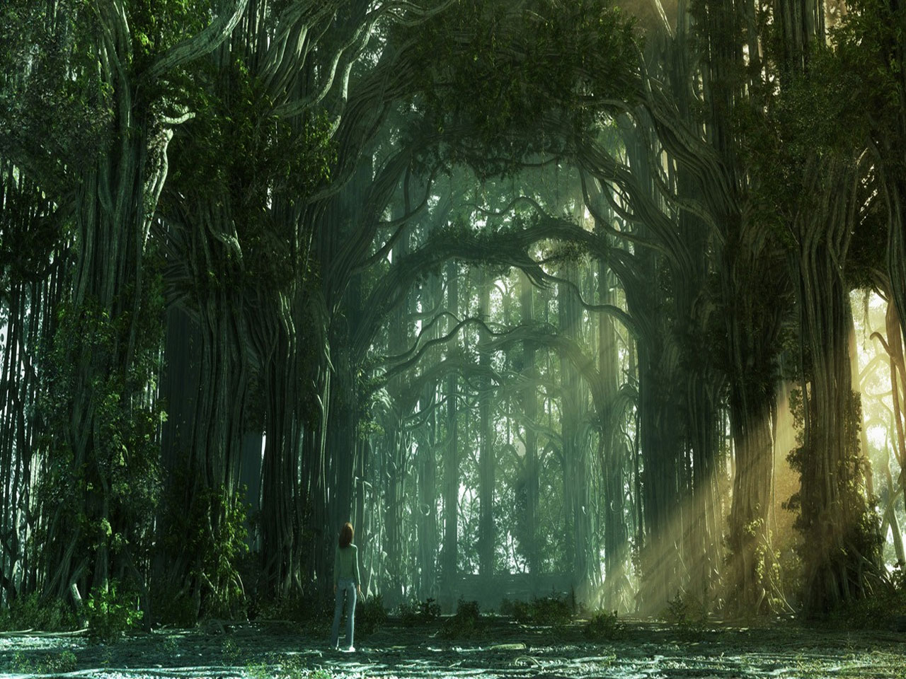 Fantasy-Forest-Wallpaper.jpg