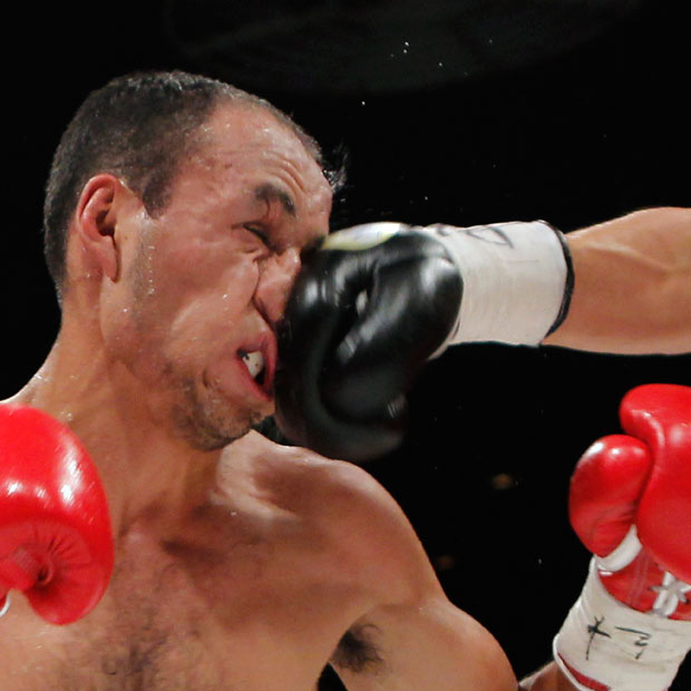 Boxer-Punch.jpg