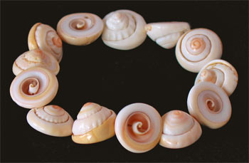shell-bracelet-lg.jpg