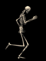 animated-skeleton-image-0014.gif