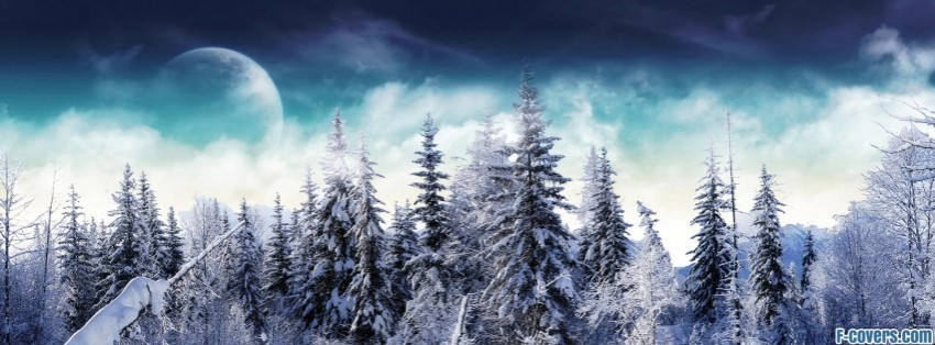 winter-snowy-forest-facebook-cover-timeline-banner-for-fb.jpg