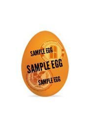 an_egg_sample33.jpg