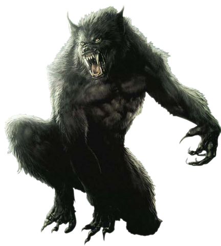 werewolf-009.png