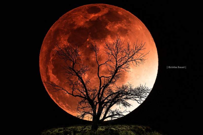 800px-Blood-Moon-Eclipse-CC-Christian_Ronnel.jpg
