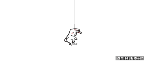 17961-Pole-Dancing-Bunny-Gif.gif