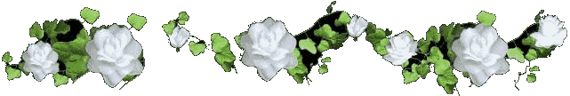lines-flowers-and-nature-163495.gif