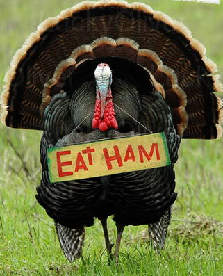 eat_ham_not_turkey_happy_thanksgiving.jpg