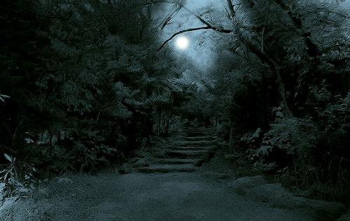 dark_forest_moon_path.jpg