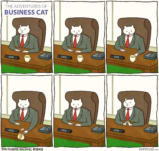 cats-knocking-stuff-over-business-cat-adventures.jpg