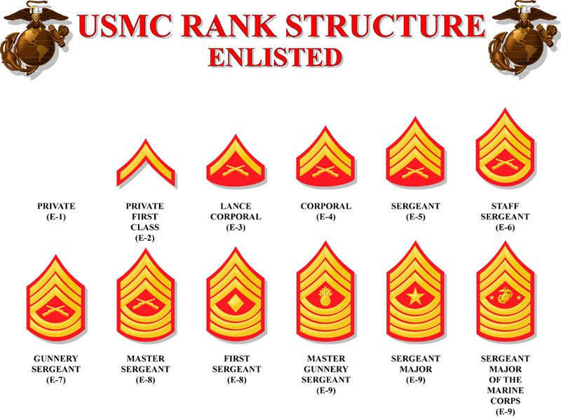usmc-enlisted-rank-structure-5a1365a4da27150037026df1.jpg