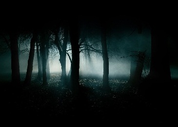 creepy_forest_night21.jpg