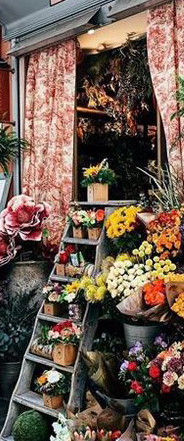 flower-shop.png