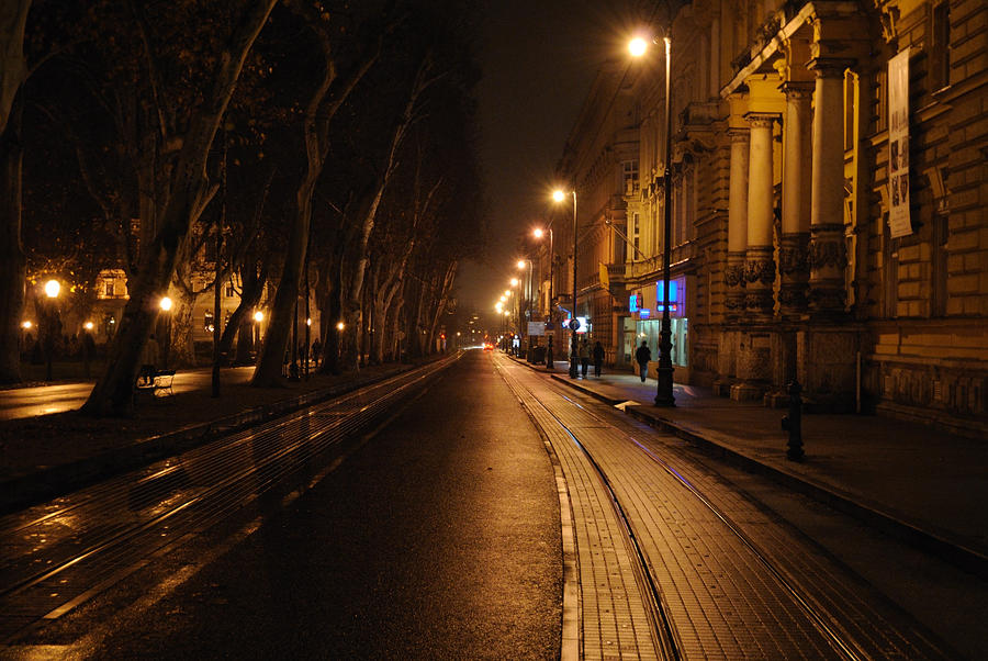 rainy_city_night_1_by_wilbur127-d33bm1x.jpg