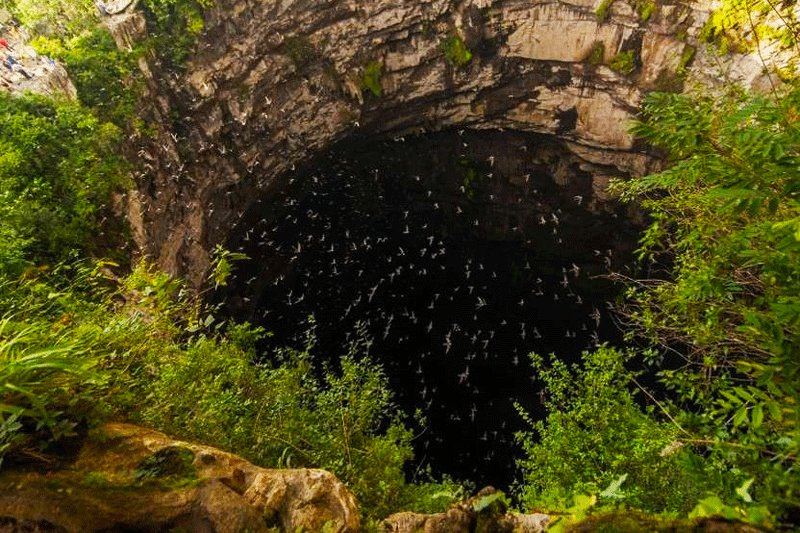 1888-swallow-cave-jump.jpg