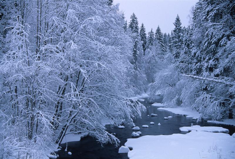 winter-snow-landscapes.jpg