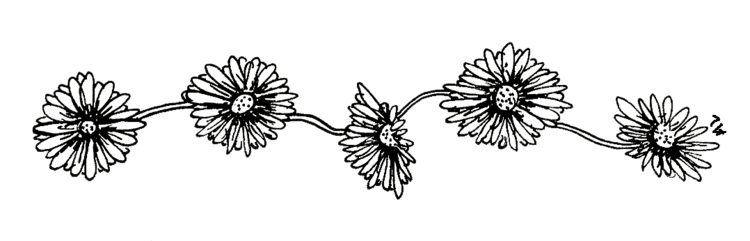 tumblr_static_tumblr-static-transparent-flowers2.png