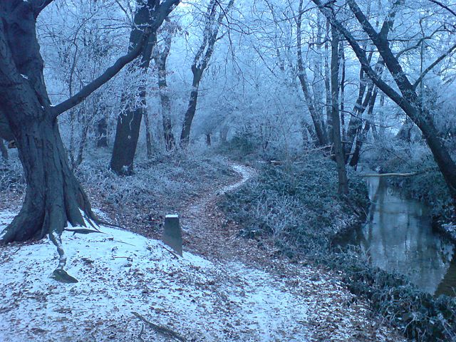 640px-Winter_Forest_Near_Erzhausen_II.jpg