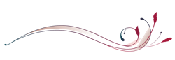 red-swirl-line-separator.png