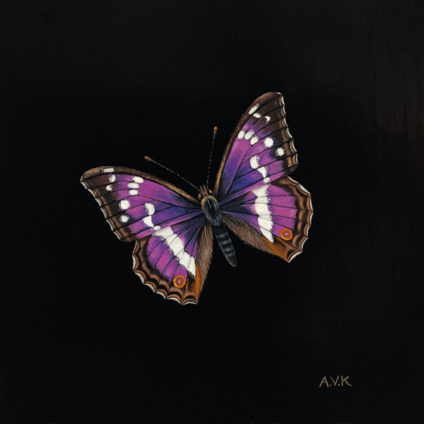 purple-emperor-butterfly_kleiser.jpg